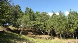 Lote con excelentes vistas