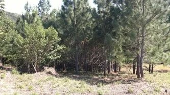Lote con excelentes vistas