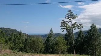 Lote con excelentes vistas