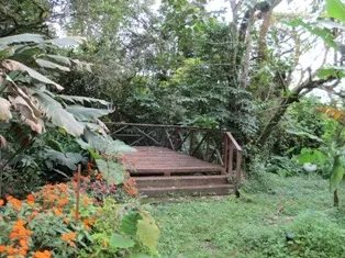 Un lugar de curación o una hermosa residencia en fresco volcán