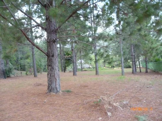 Lote plano en altos del maria