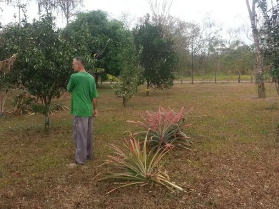 Casa de campo en gran lote en cochea abajo cerca de david