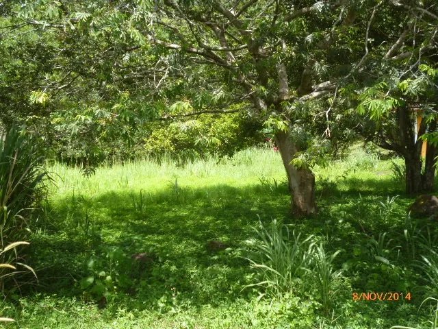 Lote plano en la atractiva zona de toscana en altos del mar