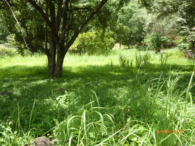 Lote plano en la atractiva zona de toscana en altos del mar