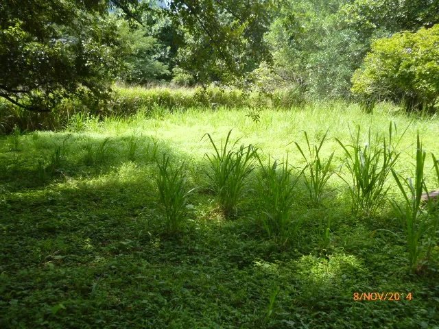 Lote plano en la atractiva zona de toscana en altos del mar