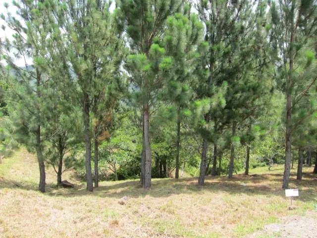 Vistas al valle y el oc