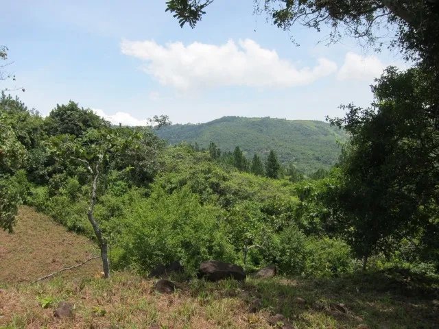 Vistas al valle y el oc