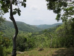 138877 - Altos del maria - lots