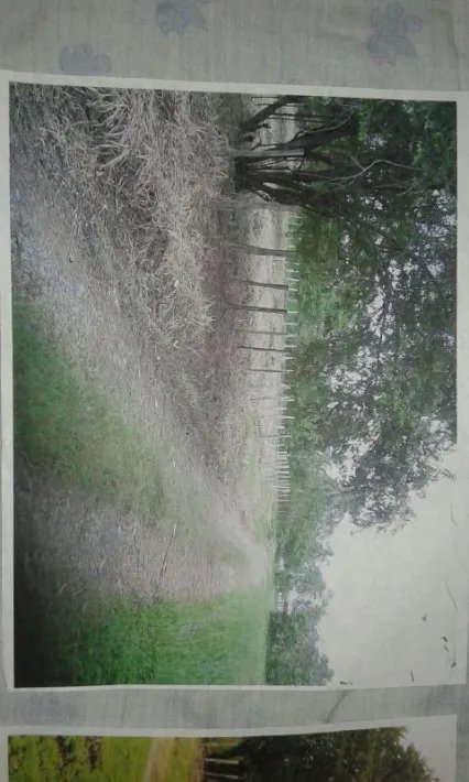 Lote grande a 100 metros de la playa en las lajas