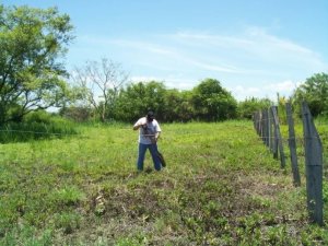 138880 - Las lajas - properties