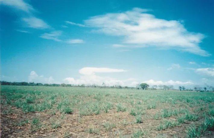 Lote comercial en venta en david