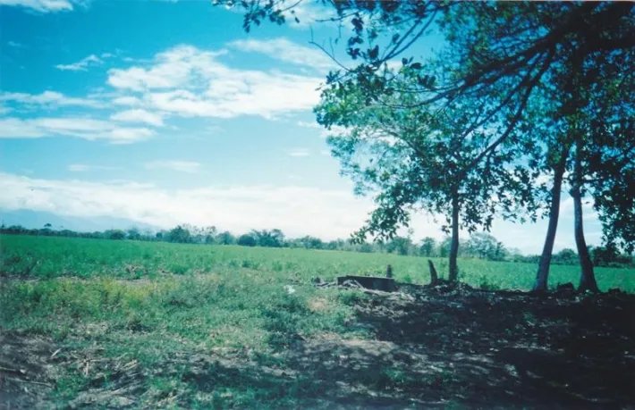 Lote comercial en venta en david