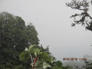 138882 - Altos del maria - lots