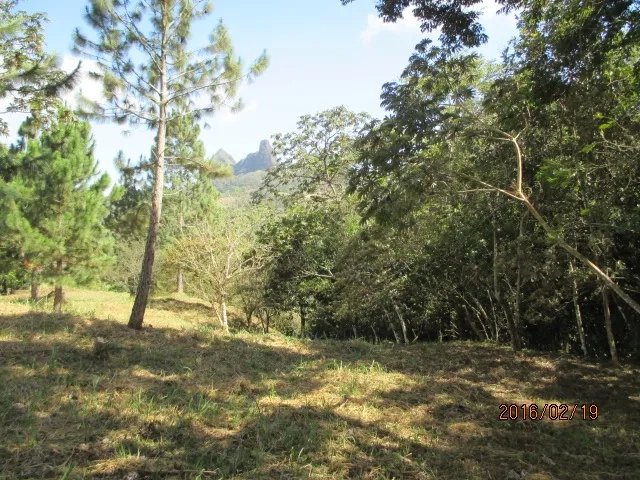 Dos lotes privados con perfecta vista
