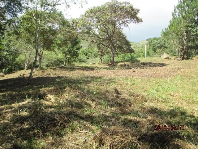 Dos lotes privados con perfecta vista