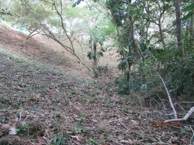 Dos lotes privados con perfecta vista