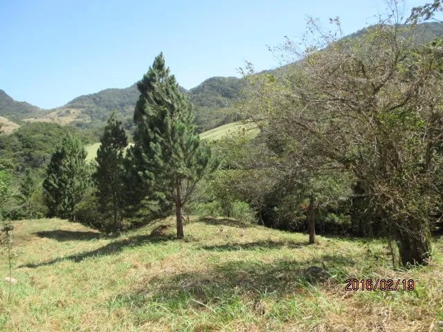 Dos lotes privados con perfecta vista