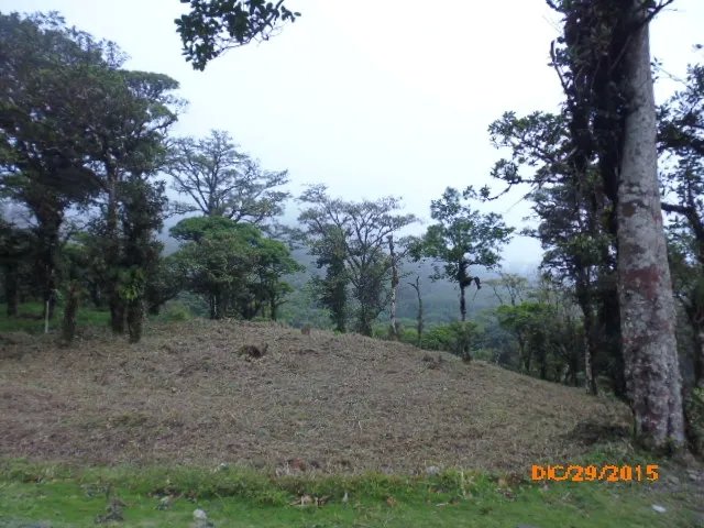 Lote plano en las monta