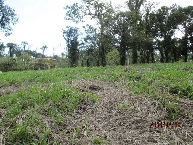 Lote plano en las monta