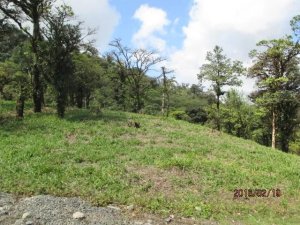 138884 - Altos del maria - lots