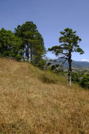 138885 - Volcan - properties