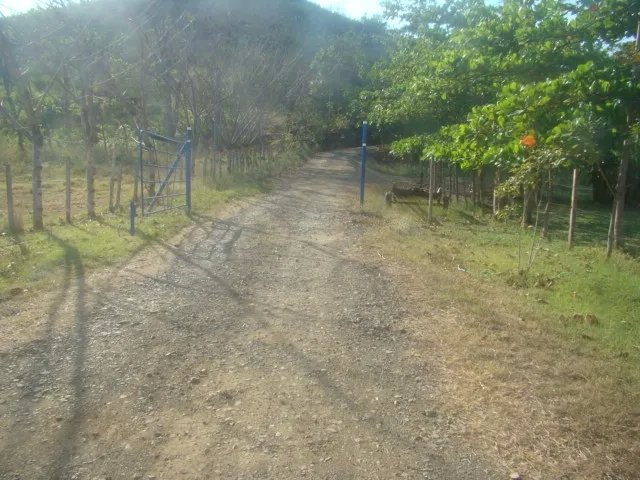 Lote con vista al mar