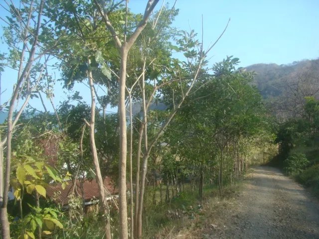 Lote con vista al mar