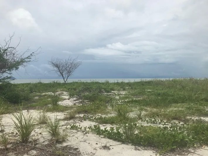 Lote frente al mar, titulada con 2000 m2 en venta en punta chame