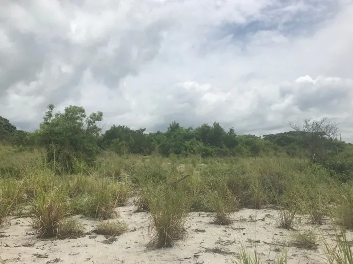 Lote frente al mar, titulada con 2000 m2 en venta en punta chame