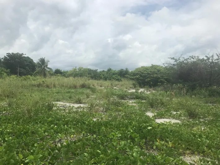 Lote frente al mar, titulada con 2000 m2 en venta en punta chame