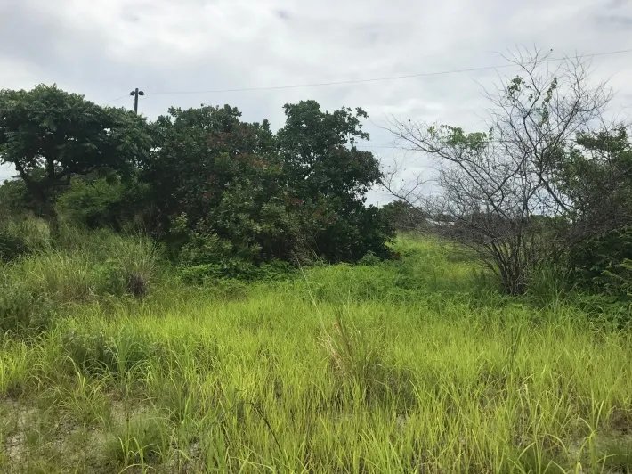 Lote para la venta en el bulevar principal de punta chame, a pocos min...