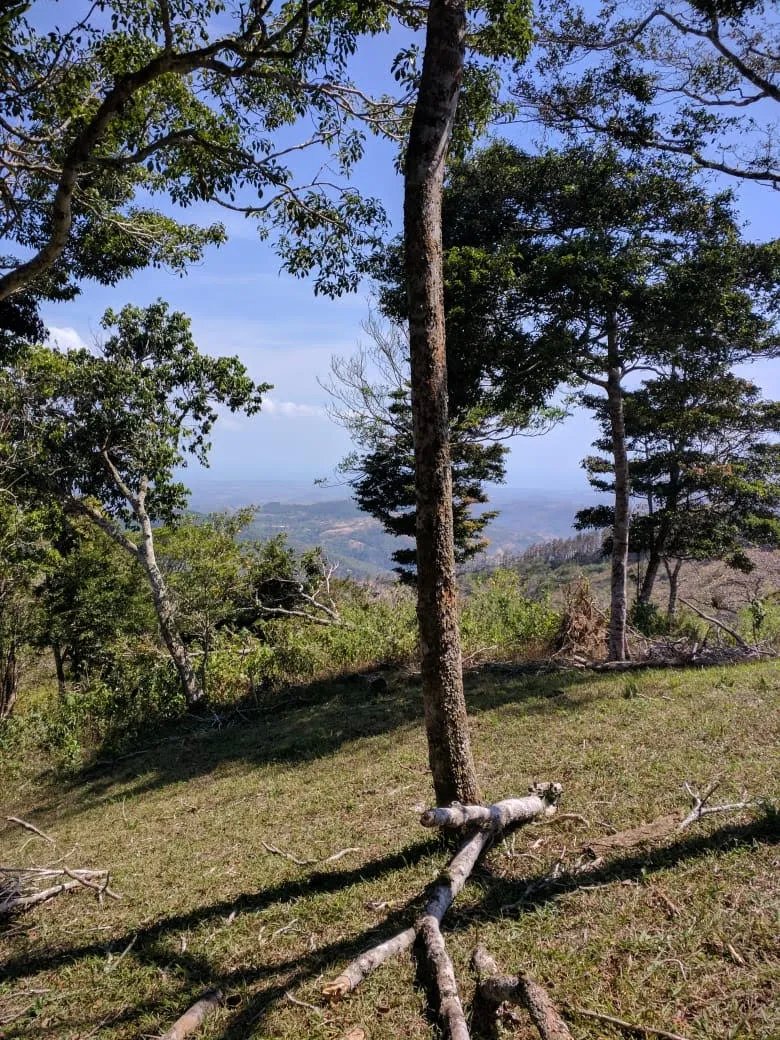 Lote de casa en venta en altos del maria
