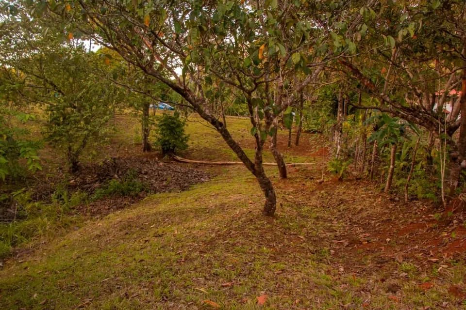 Lote a la venta en santa catalina