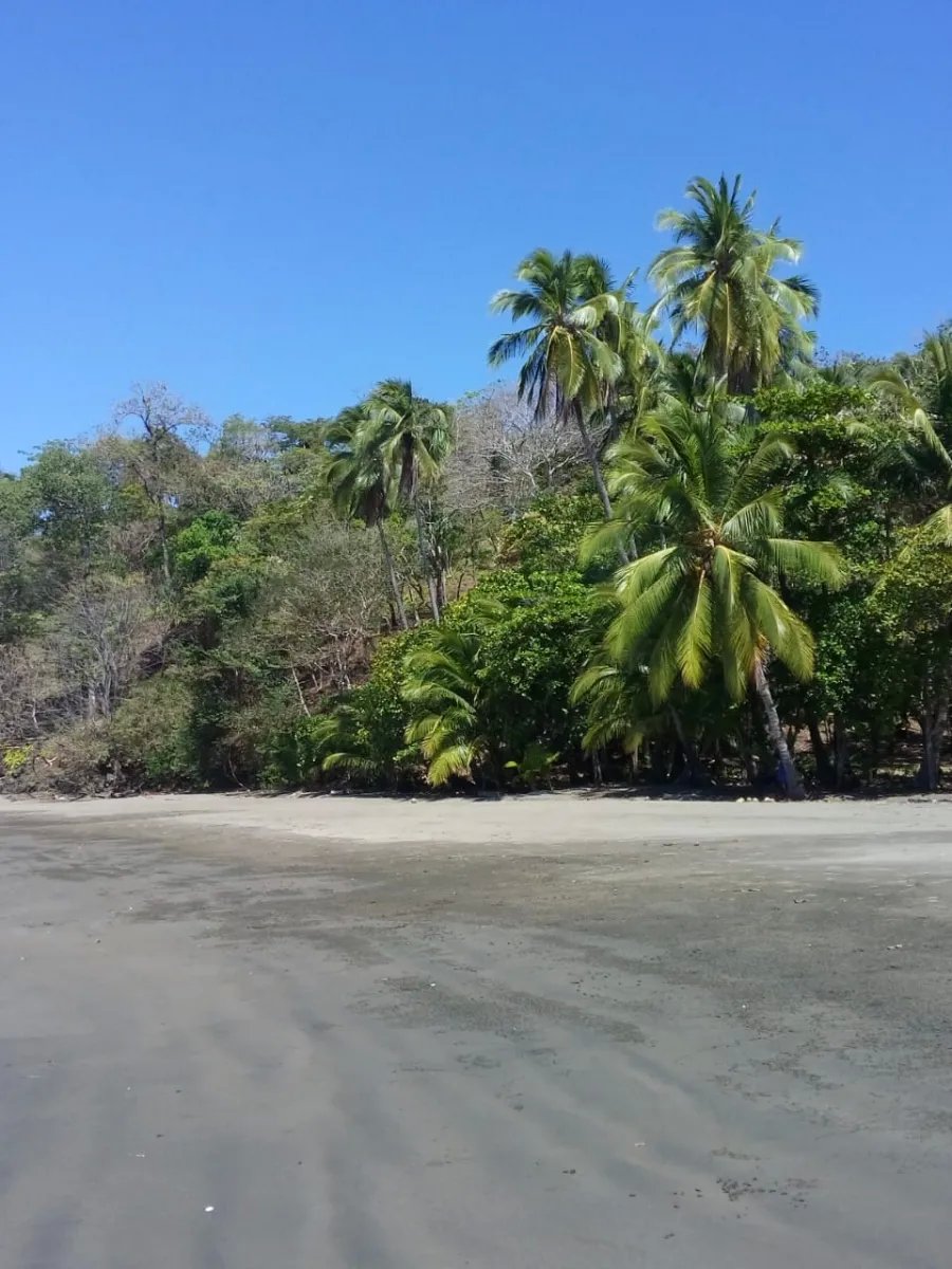 Se vende propiedad en playa gorgona, bahia de san lorenzo