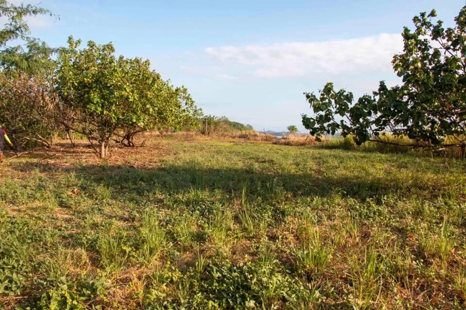 Se vende lote en la playa de lagartero, veraguas