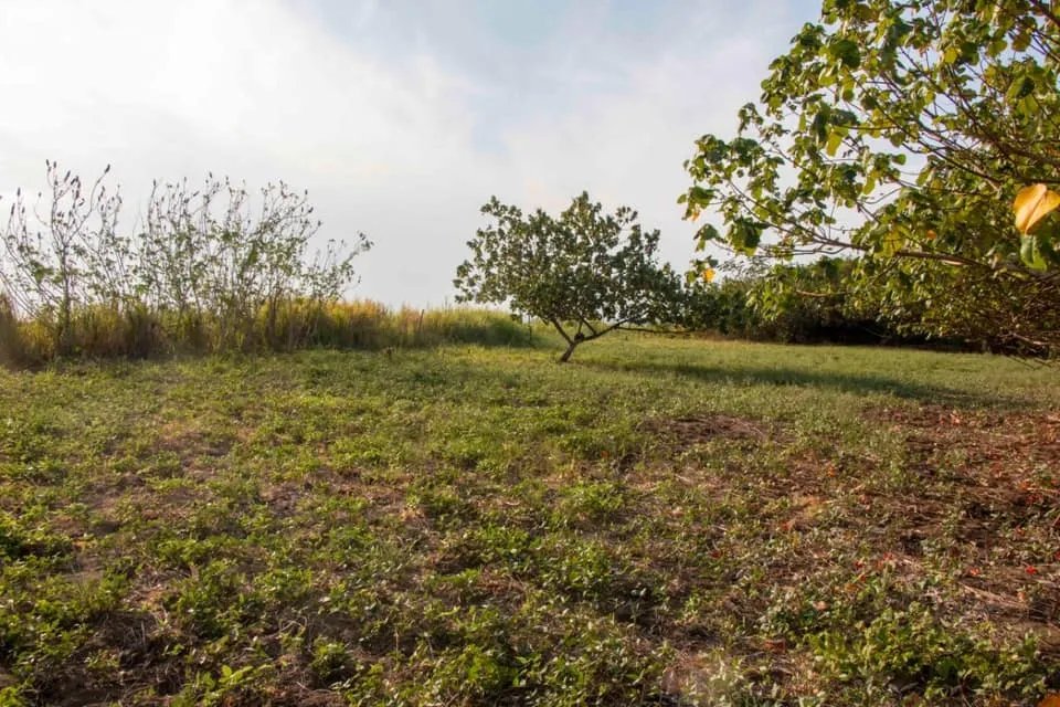 Se vende lote en la playa de lagartero, veraguas