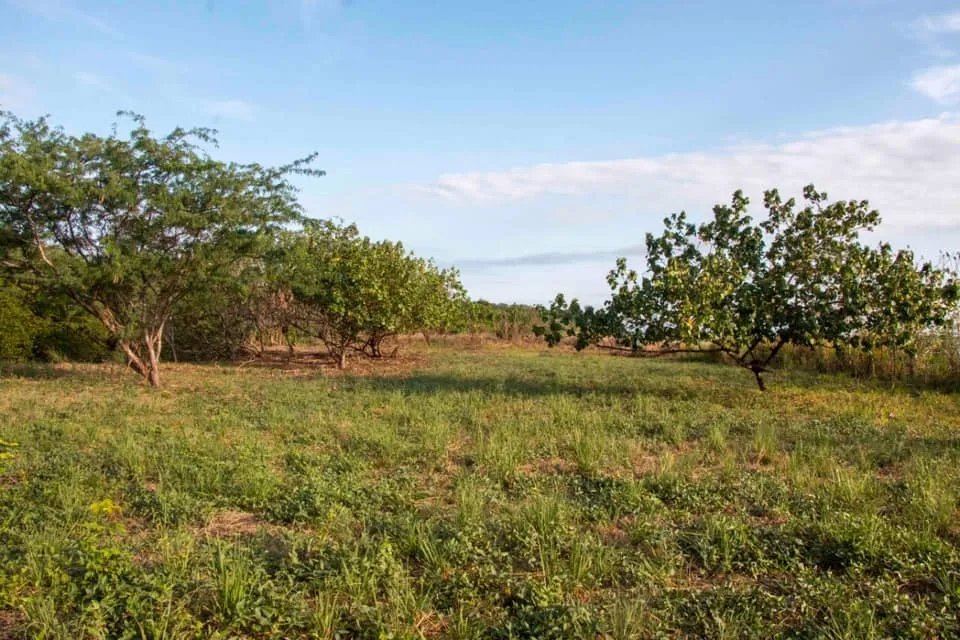 Se vende lote en la playa de lagartero, veraguas
