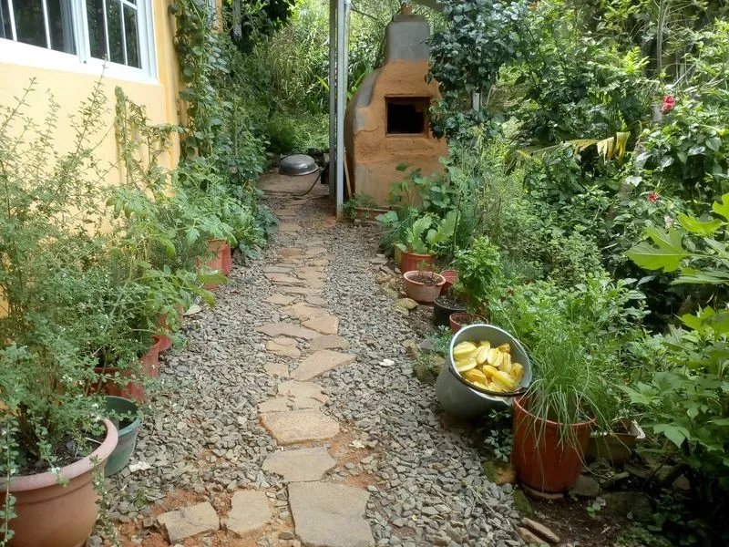 La casa perfecta para los amantes de la naturaleza con jardines de permacultura y acuaponía