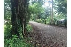 Terreno en playa reina de 1370 m2 titulada