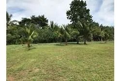 Se venden lotes en lagartero, sona - provincia de veraguas