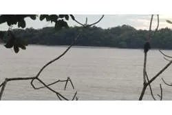 Se vende terreno en santa catalina