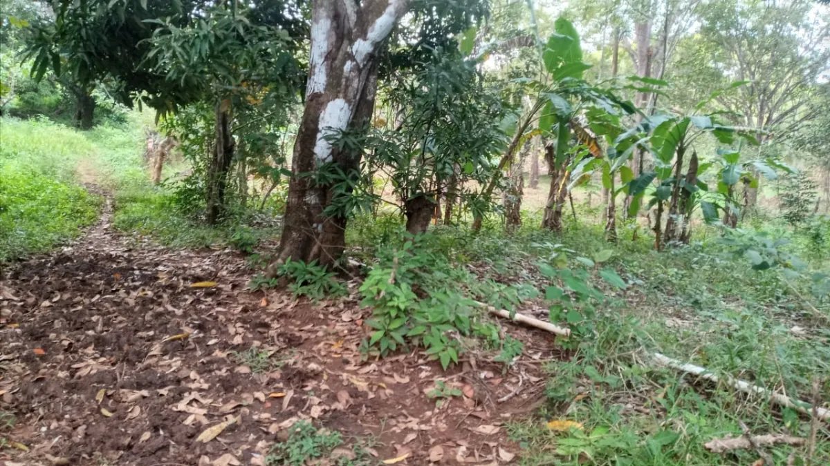Lote en venta en veraguas, santa catalina.