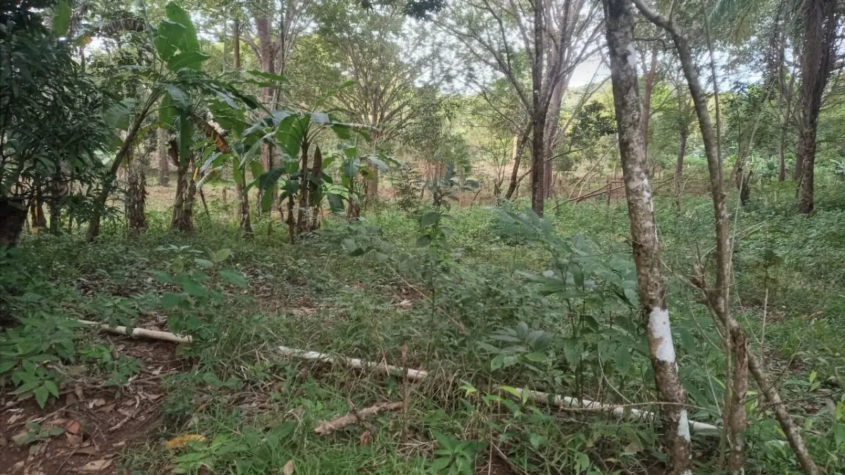 Lote en venta en veraguas, santa catalina.