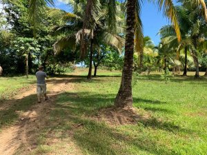 138941 - Santa catalina - lots