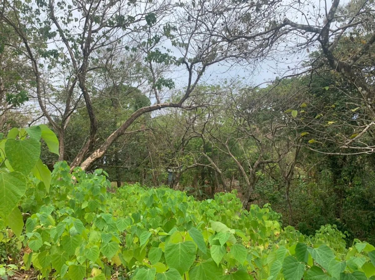 Lote en venta en santa catalina, veraguas. de 2700 metros cuadrados.