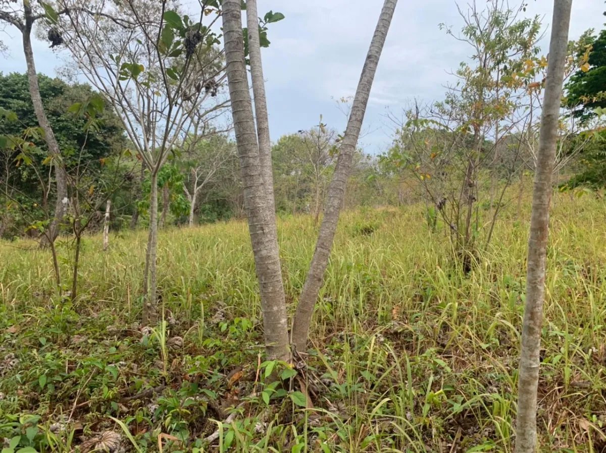 Lote en venta en santa catalina, veraguas. de 2700 metros cuadrados.