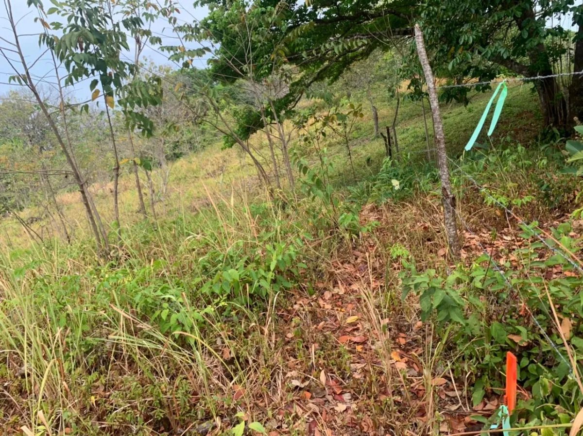 Lote en venta en santa catalina, veraguas. de 2700 metros cuadrados.