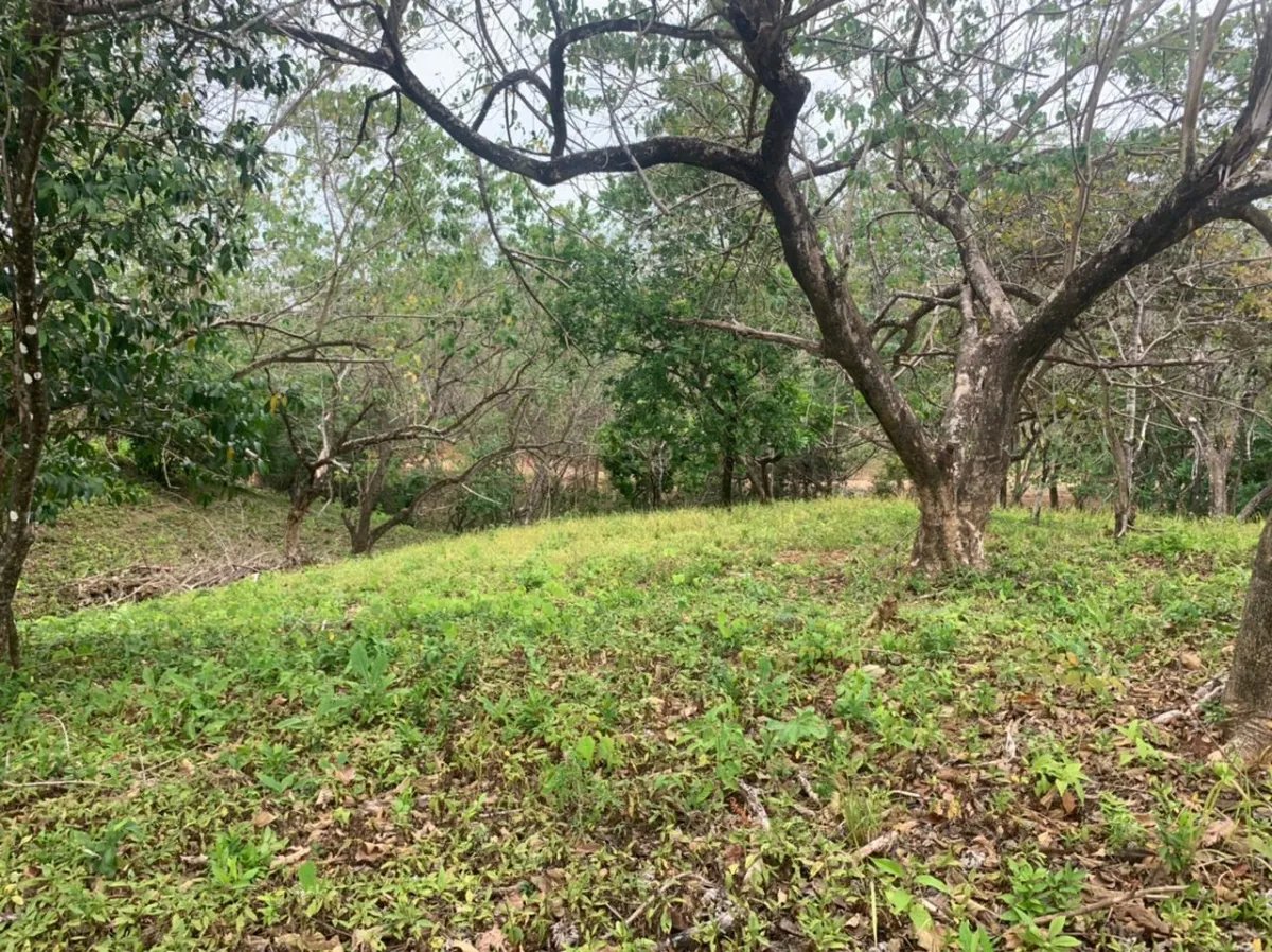 Lote en venta en santa catalina, veraguas. de 2700 metros cuadrados.