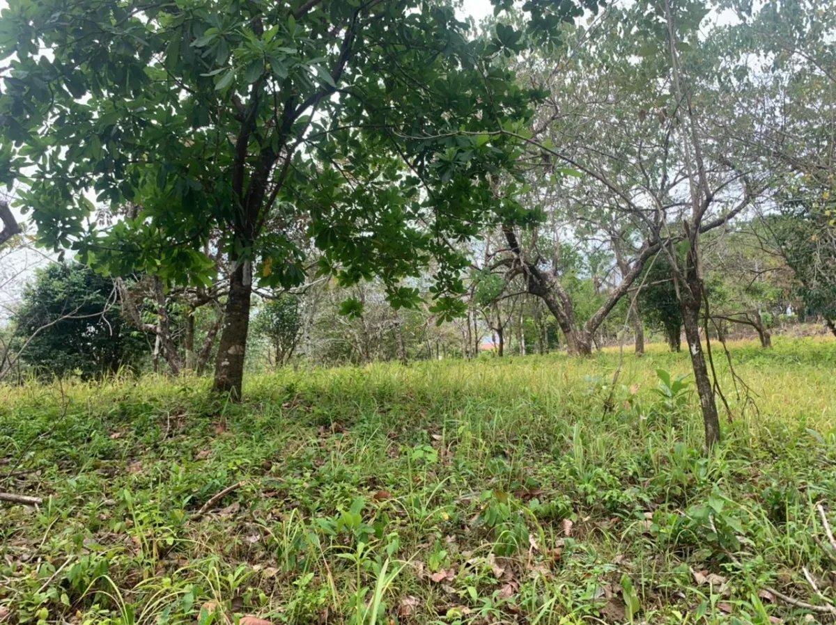 Lote en venta en santa catalina, veraguas. de 2700 metros cuadrados.