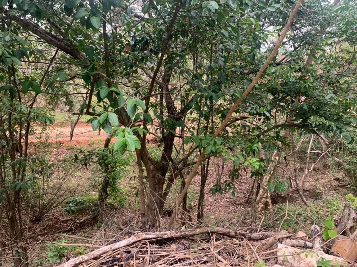 Lote en venta en santa catalina, veraguas. de 3200 metros cuadrados.